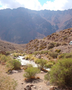 Cordilheira dos Andes