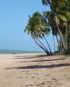Litoral de Alagoas - São Miguel dos Milagres