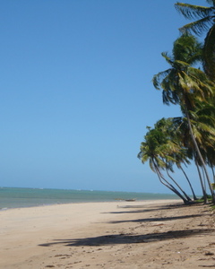 Litoral de Alagoas - São Miguel dos Milagres