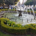Travel_thumb_10.01.2021__imagens_do_celular_626